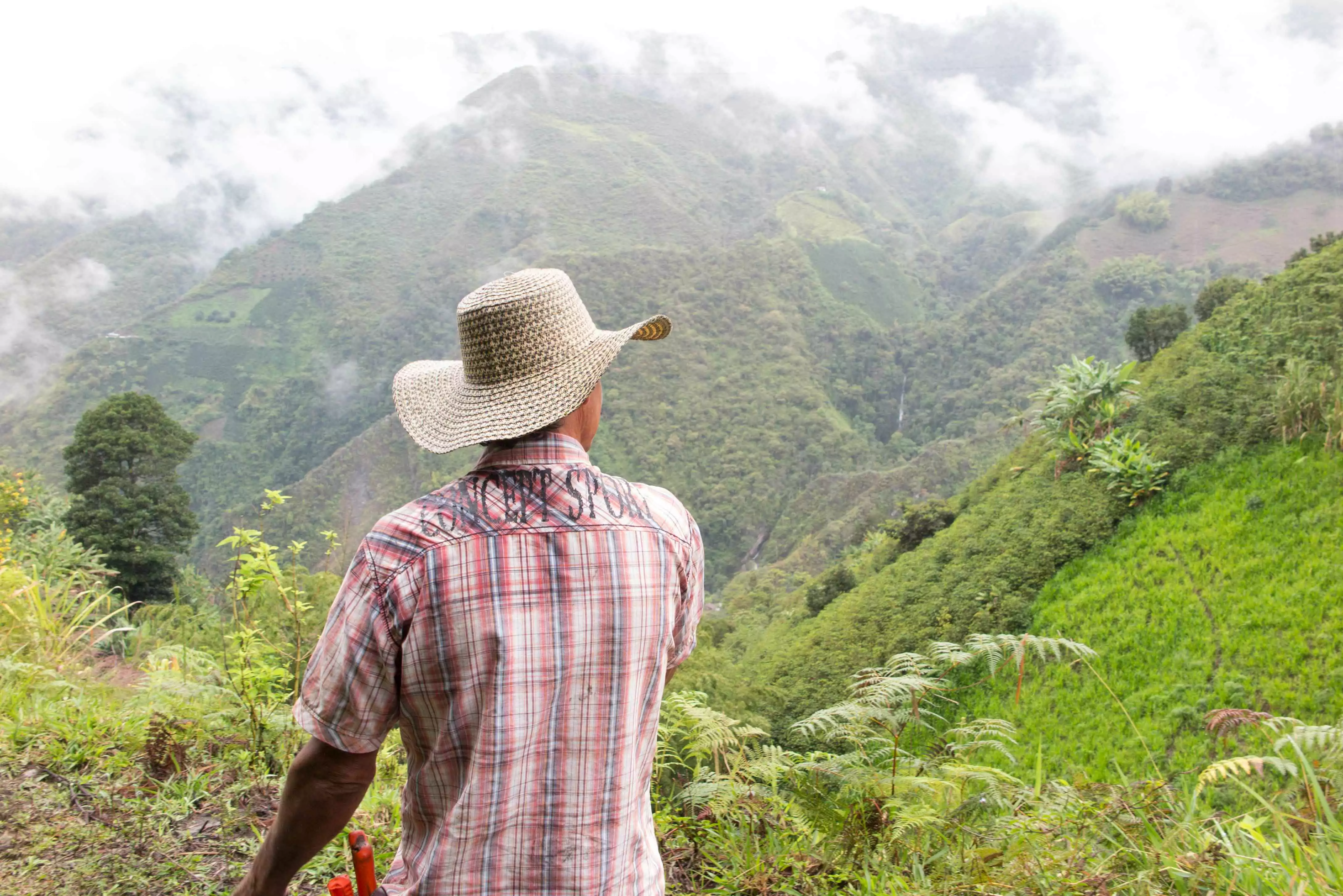 VedroStudio_GranjaLaEsperanza2016_-107