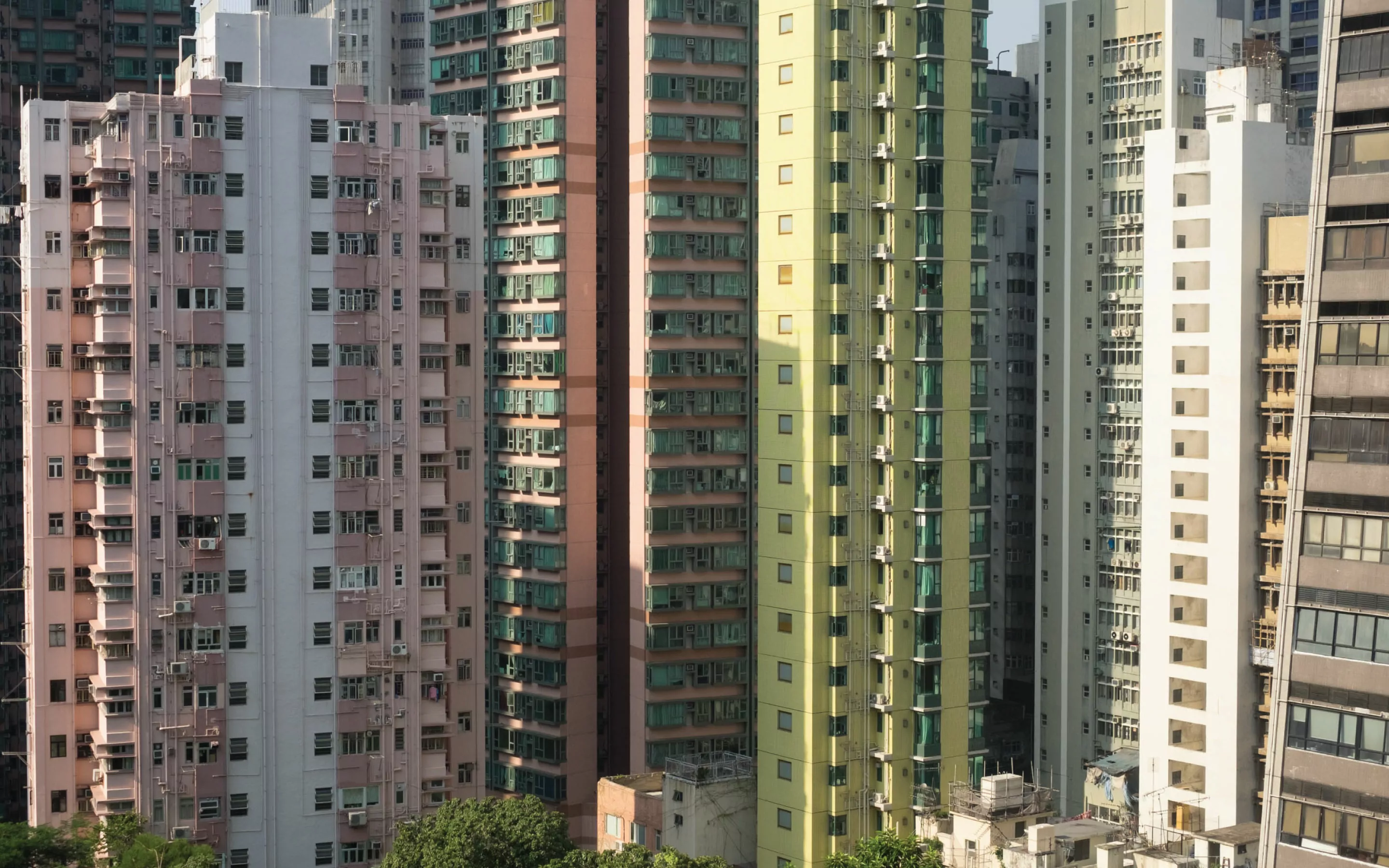 VedrosStudio_HongKong1