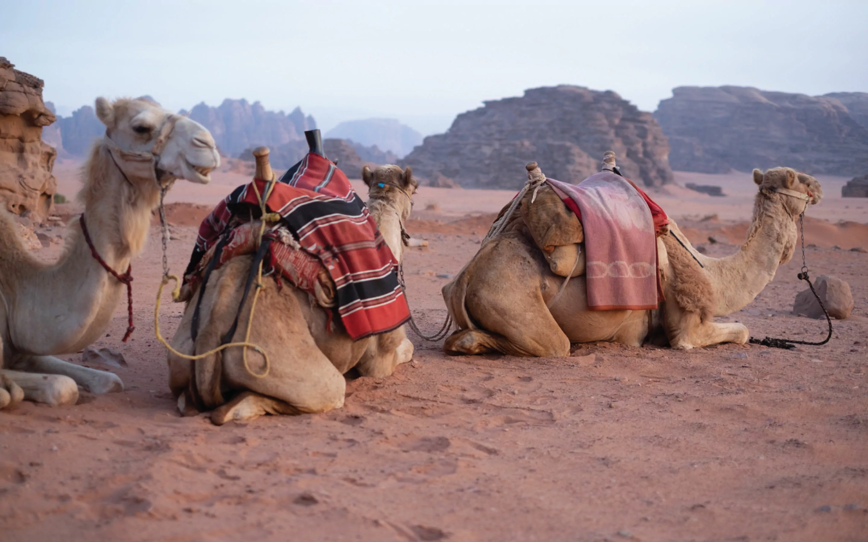 VedrosStudio_Jordan1