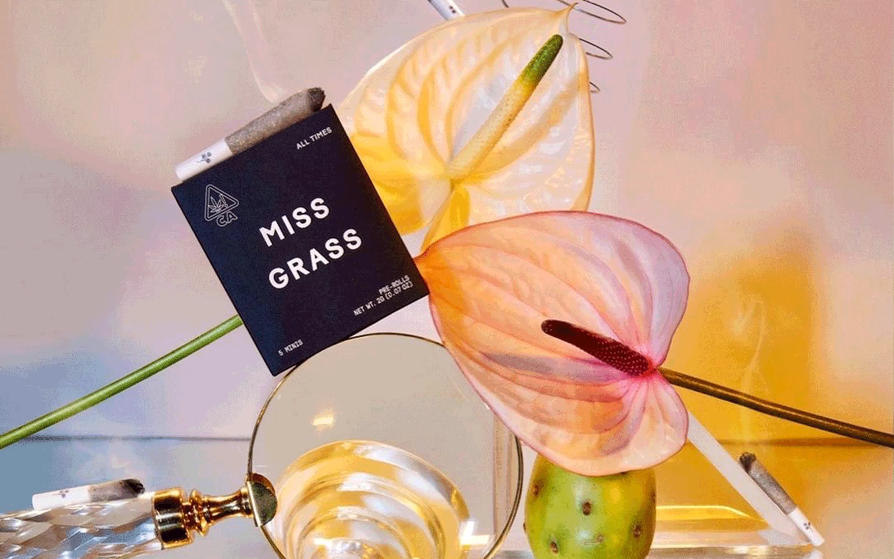 Vedros_MissGrass_Packaging_img