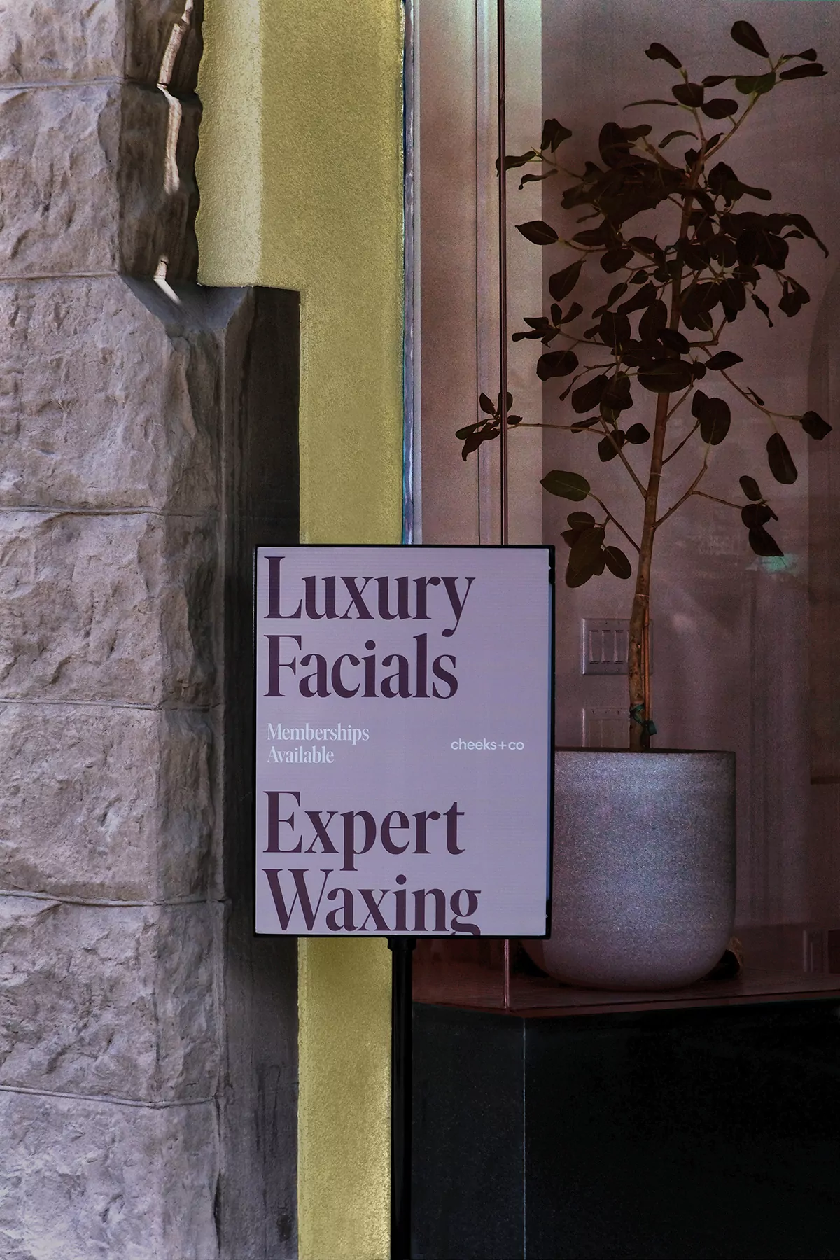 Vedros Studio, Cheeks Spa, Meryl Vedros,